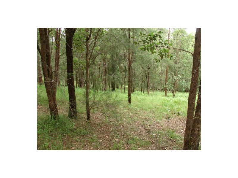 1553 PRETTY GULLY, Tabulam NSW 2469