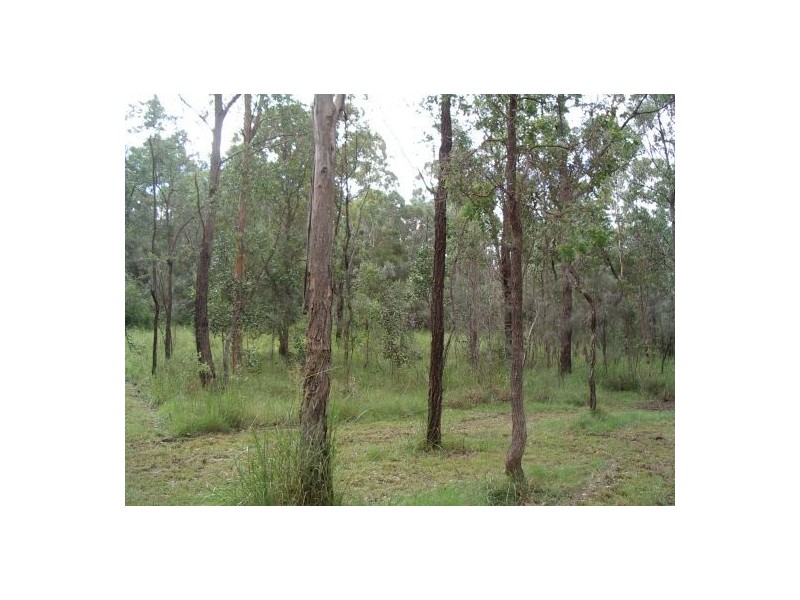 185 Bulldog Rd, Tabulam NSW 2469