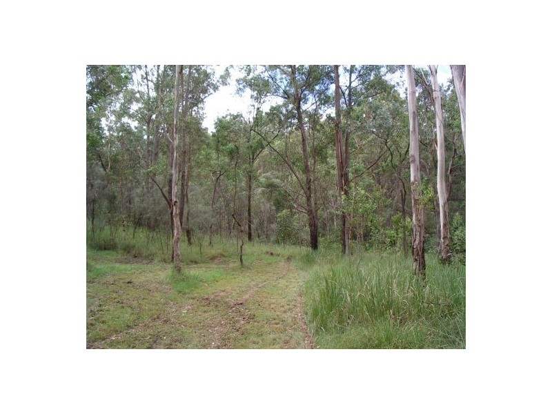 185 Bulldog Rd, Tabulam NSW 2469