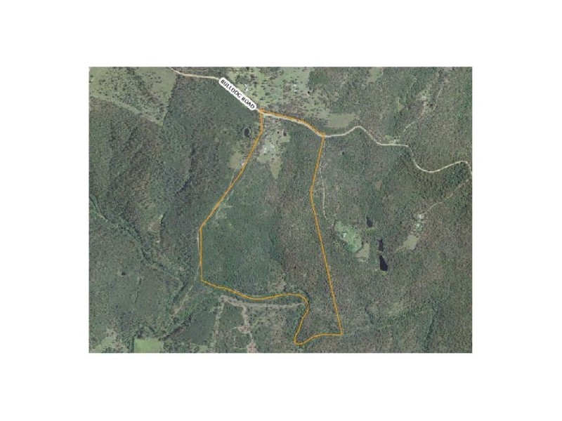 185 Bulldog Rd, Tabulam NSW 2469