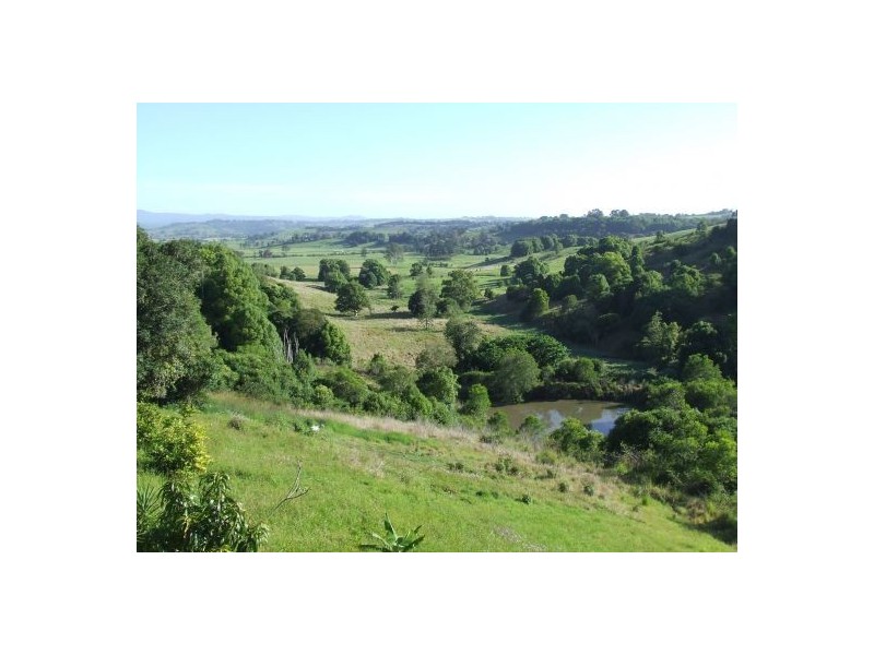 Richmond Hill NSW 2480