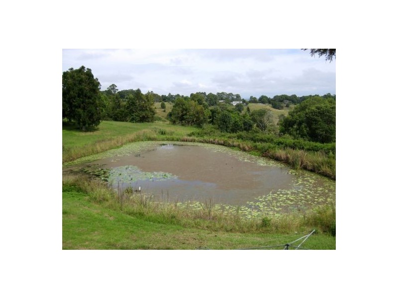 Mcleans Ridges NSW 2480