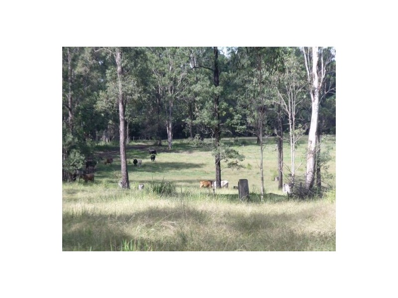 Grafton NSW 2460