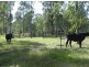 Grafton NSW 2460