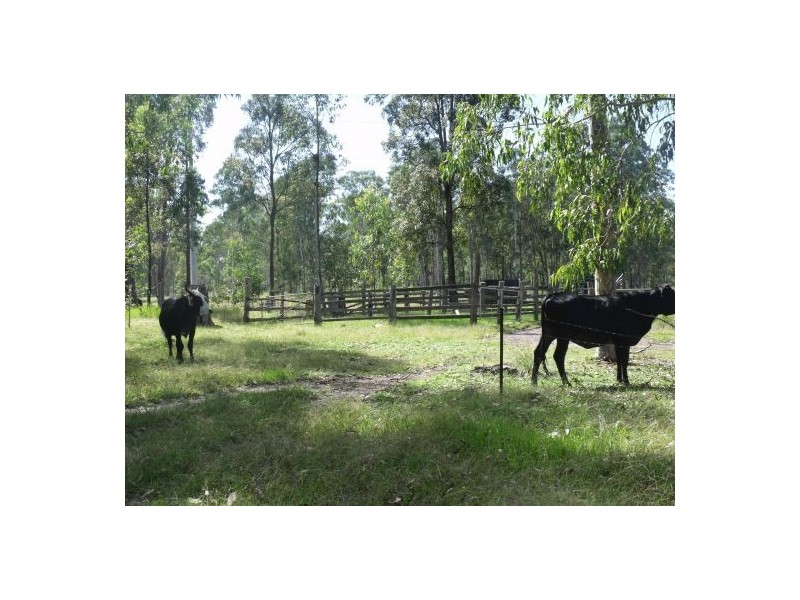 Grafton NSW 2460