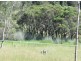 Grafton NSW 2460