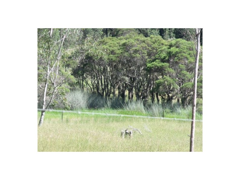 Grafton NSW 2460