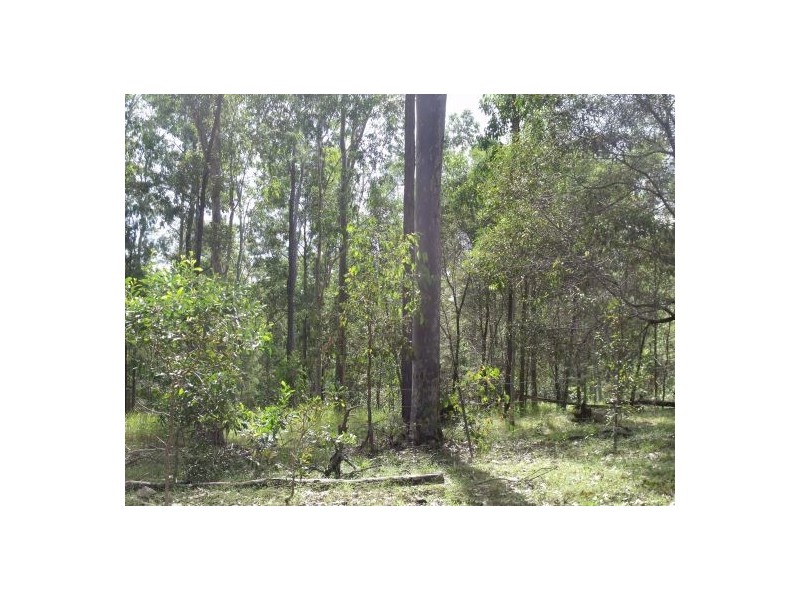 Grafton NSW 2460