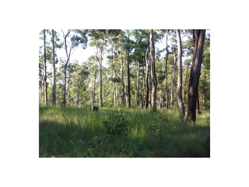 23A Long Gully Rd, Drake NSW 2469