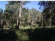 23A Long Gully Rd, Drake NSW 2469