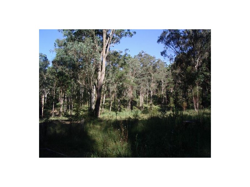 23A Long Gully Rd, Drake NSW 2469