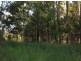 23A Long Gully Rd, Drake NSW 2469