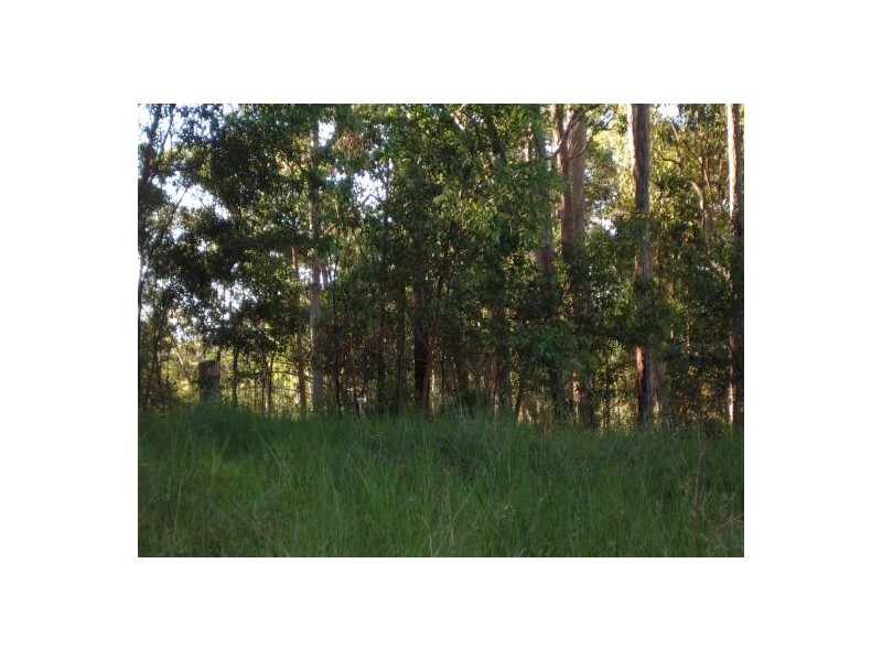 23A Long Gully Rd, Drake NSW 2469