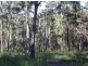 23A Long Gully Rd, Drake NSW 2469