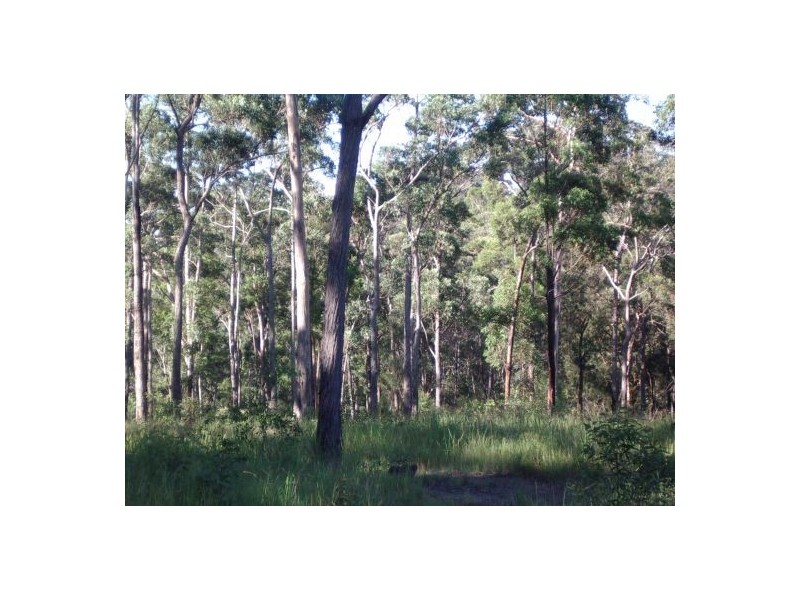 23A Long Gully Rd, Drake NSW 2469