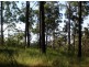 23A Long Gully Rd, Drake NSW 2469