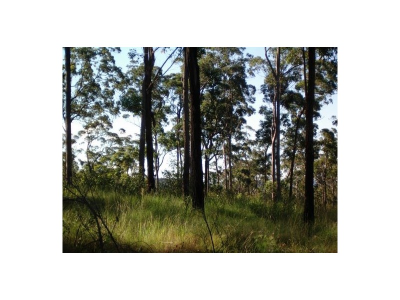23A Long Gully Rd, Drake NSW 2469