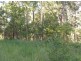 23A Long Gully Rd, Drake NSW 2469