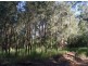 23A Long Gully Rd, Drake NSW 2469