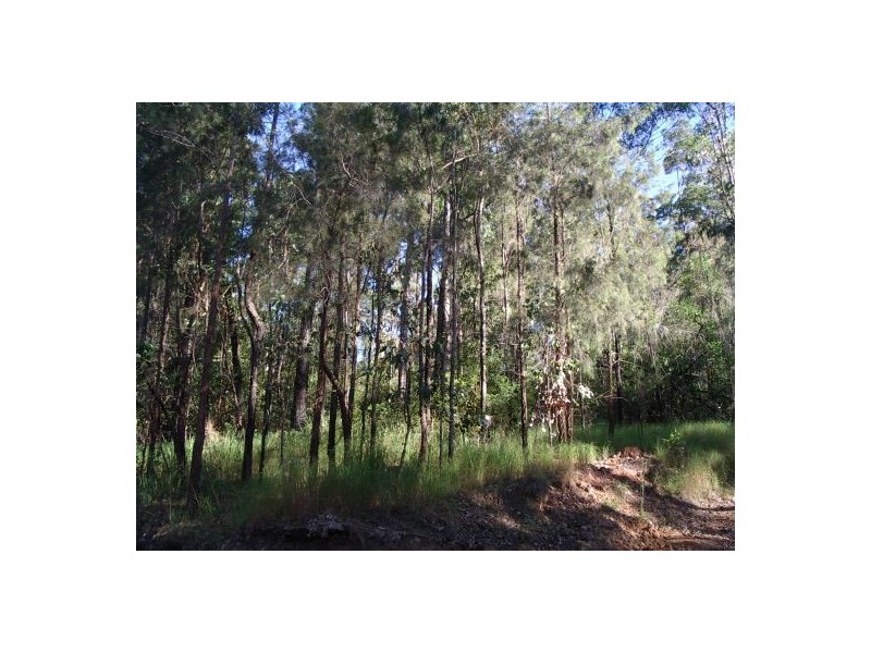23A Long Gully Rd, Drake NSW 2469