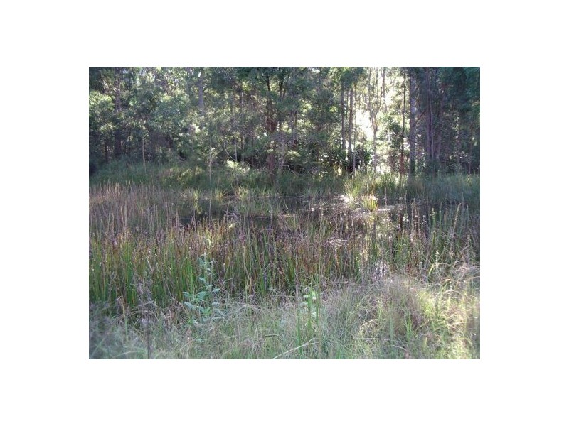 23A Long Gully Rd, Drake NSW 2469