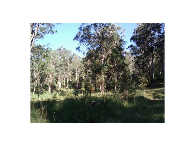 23A Long Gully Rd, Drake NSW 2469