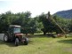 Kyogle NSW 2474