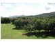 Kyogle NSW 2474