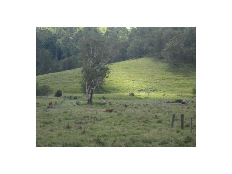 Lot 144 Old Lawrence Rd, Mallanganee NSW 2469