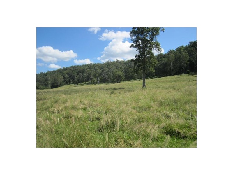 Lot 144 Old Lawrence Rd, Mallanganee NSW 2469