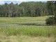 Lot 143 Old Lawrence Rd, Mallanganee NSW 2469