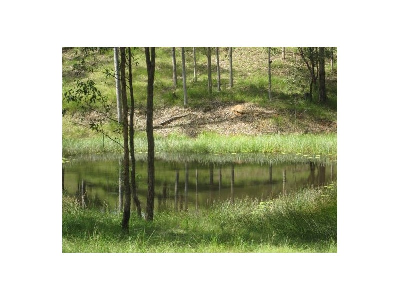 Lot 146 Old Lawrence Rd, Mallanganee NSW 2469