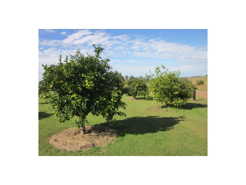 185 Old Dyraaba Road, Casino NSW 2470