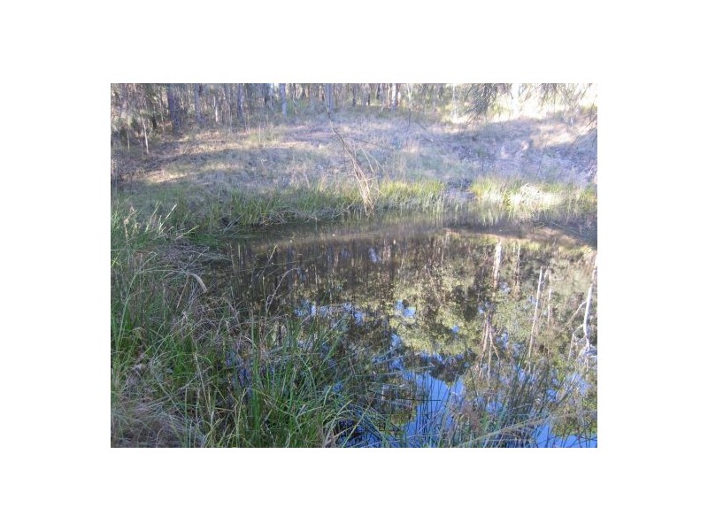 Tabulam NSW 2469