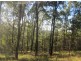 Tabulam NSW 2469