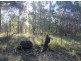 Tabulam NSW 2469