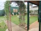 Lismore NSW 2480