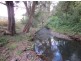 Collins Creek NSW 2474