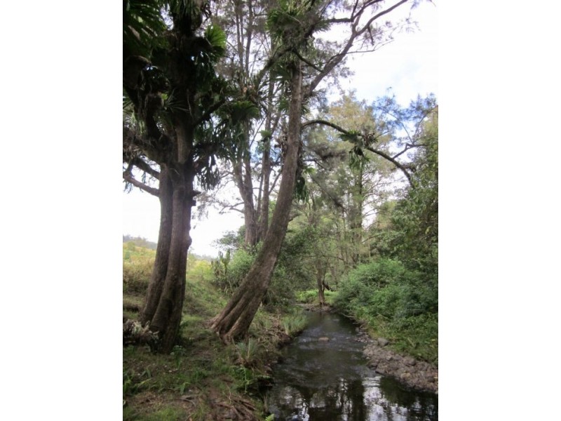 Collins Creek NSW 2474