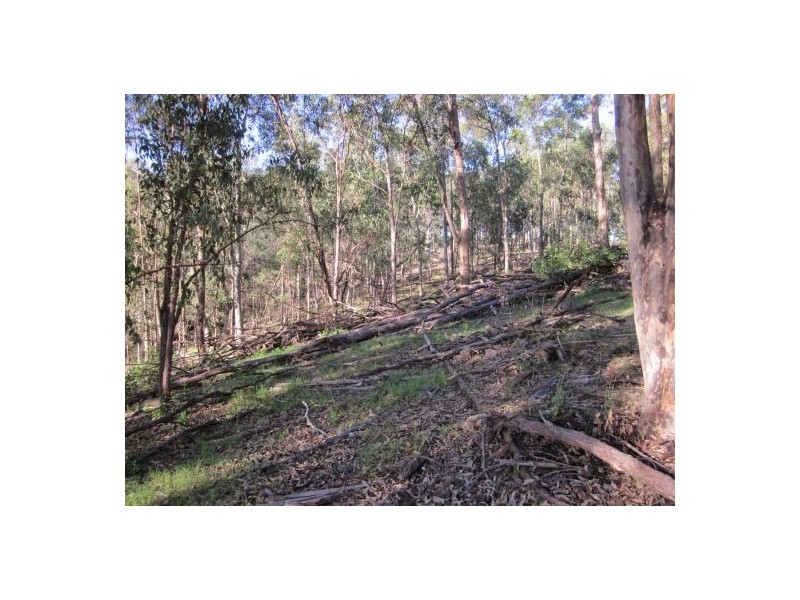 1130A Dyraaba Road Via Casino, Casino NSW 2470