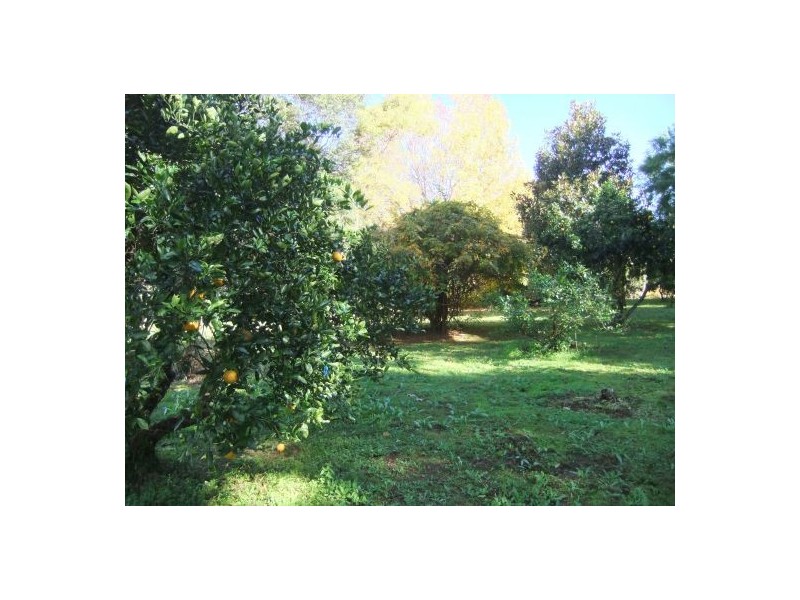 Goonellabah NSW 2480