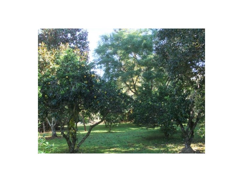 Goonellabah NSW 2480