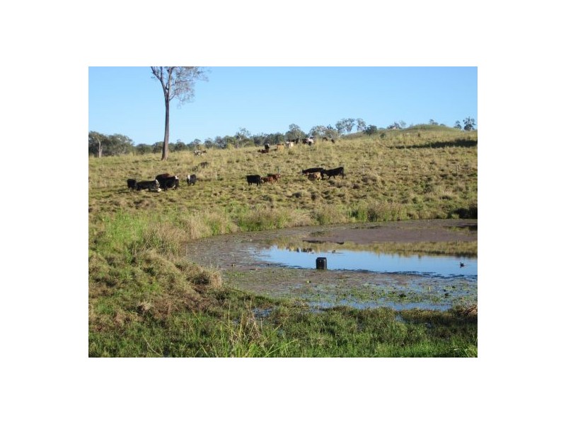 22 Stones Road, Naughtons Gap, NSW, Lismore NSW 2480