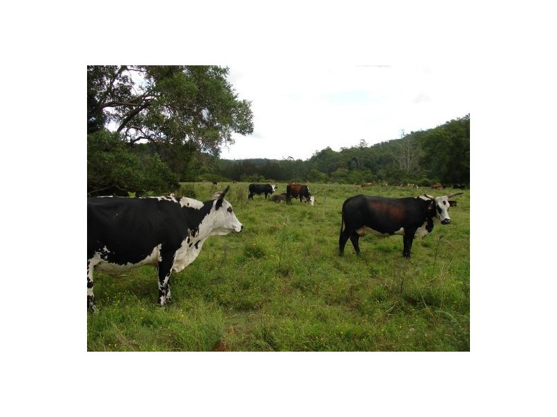 LOT 1 1090 HOGARTH RANGE, Casino NSW 2470