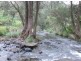 Kyogle NSW 2474