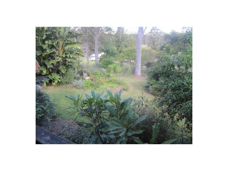 10 Clarence St, Bonalbo NSW 2469