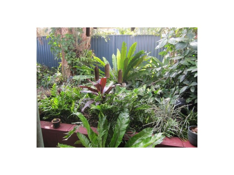 10 Clarence St, Bonalbo NSW 2469