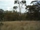 Lot 28 Bruxner Hwy, Tenterfield NSW 2372