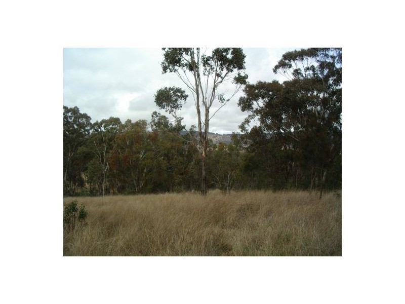 Lot 28 Bruxner Hwy, Tenterfield NSW 2372