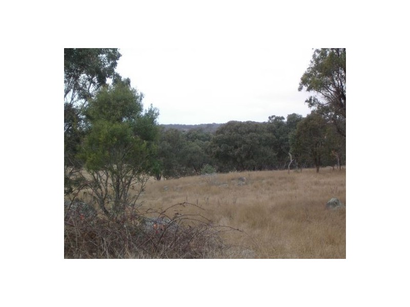 Lot 28 Bruxner Hwy, Tenterfield NSW 2372